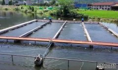 长辰渔业“生态循环水圈养模式”适合水库池塘