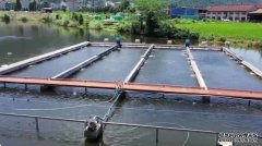 长辰渔业循环泵养殖改良水质；实现零排放零污