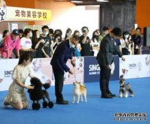 国际校平机周讯◢2023第18届CPF中国广州宠物服装
