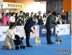 梵翡液压晨讯◢2023第18届CPF中国广州国际宠物窝