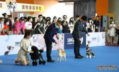 欧亿如何注册第18届CPF2023广州国际宠物食品疫苗