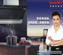 广东万喜电器—厨电品牌历程